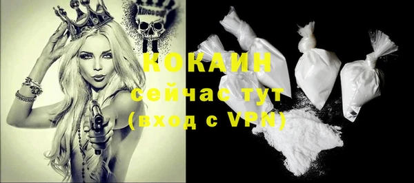гидра Аркадак