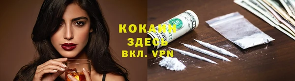 гидра Аркадак