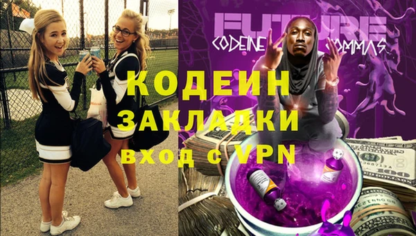 Альфа ПВП Няндома