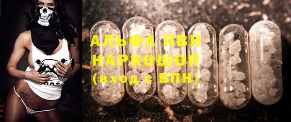 ПСИЛОЦИБИНОВЫЕ ГРИБЫ Арсеньев