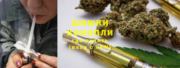 гидра Аркадак